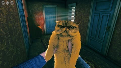 Mysterious Visitor